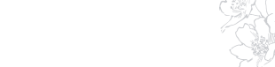 シェーン（Schön）について