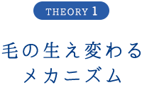 毛の生え変わるメカニズム