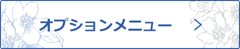 オプションメニュー