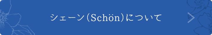 シェーン（Schön）について