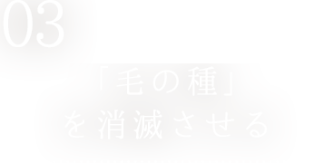 「毛の種」を消滅させる